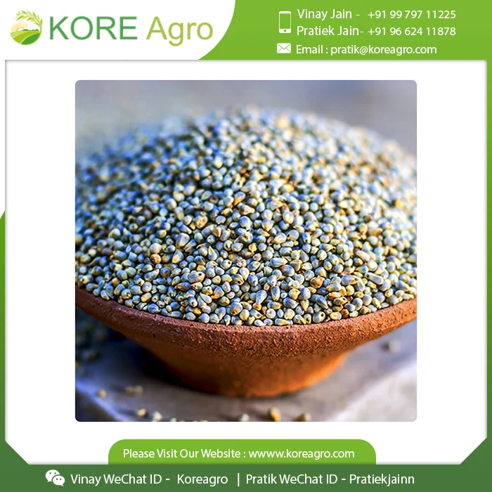  Лучшее экспортное качество семена желтого пса безглютеновый качественный ПСО купить по низкой цене