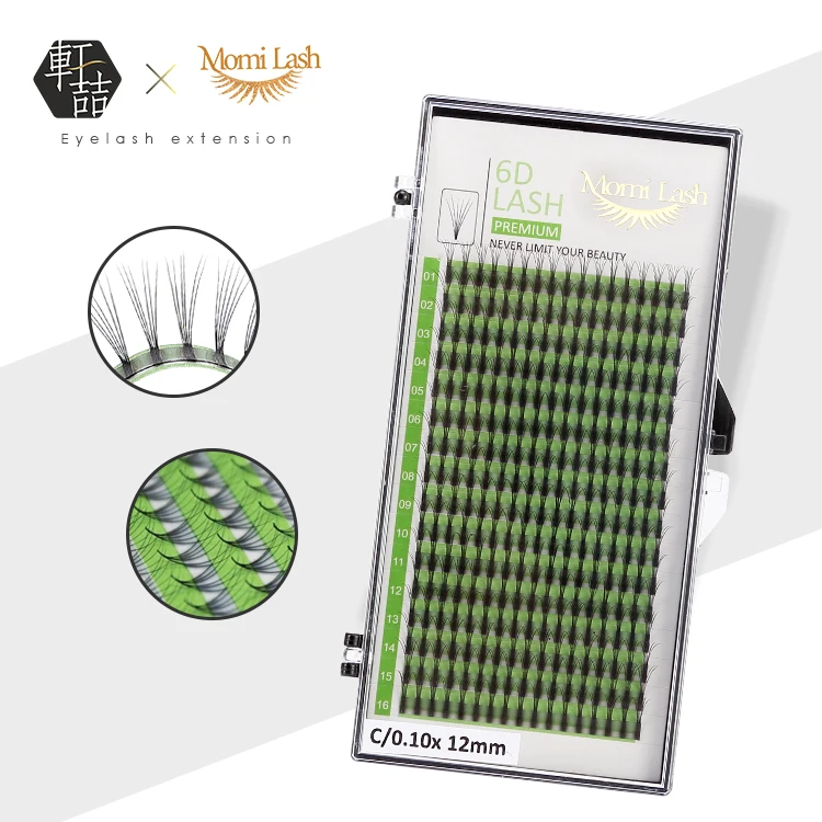 New Private Label 6D Premade Fans Lashes Vietnam Volume Eyelashes