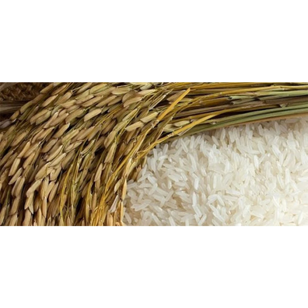 100% Extra Well Milled Vietnam Jasmine Rice Price
