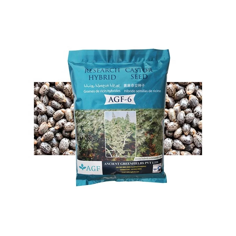 Castor Oil Seed Bulk Manufacture Supplier India