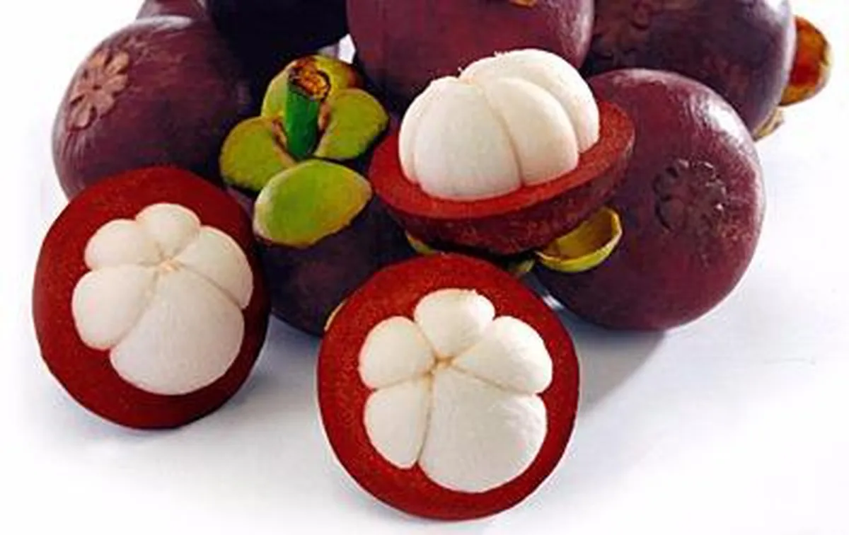 Mangosteen Fresh Fruit Best Seller From VIETNAM Mangosteen juice/ MS KATHY +84 896650714