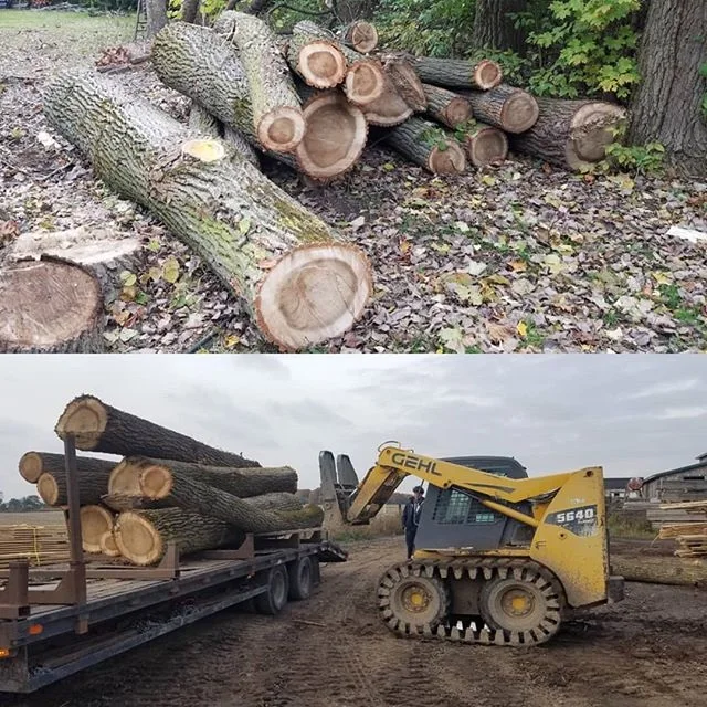 Buy Europe White Oak Bilinga Wood Round Logs For Sale