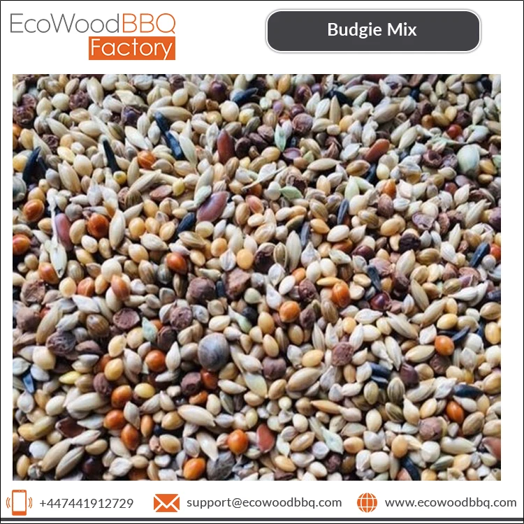 Чистые органические зерна семян Budge Mix для корма птиц поставщик из Украины