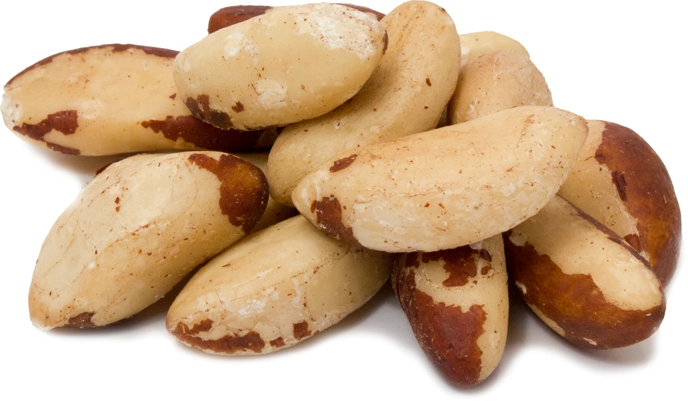 HIGH QUALITY BRAZIL NUTS FOOD GRADE