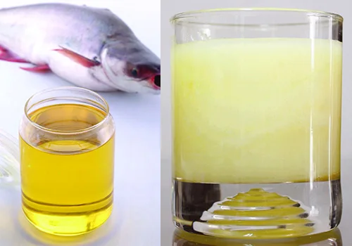 Sea fish Oil/ Pangasius Fish Oil/Crude fish oil for animal feed from Vietnam