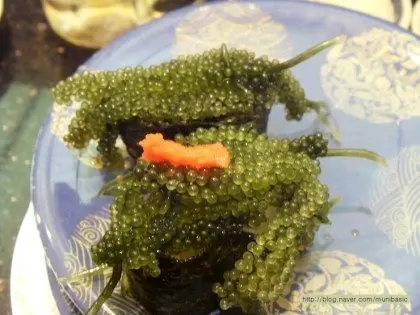  Оптовая продажа высококачественный свежий морской виноград/зеленый виноград/вьетнамский сухой виноград (Ms Деми + 84 961733400)