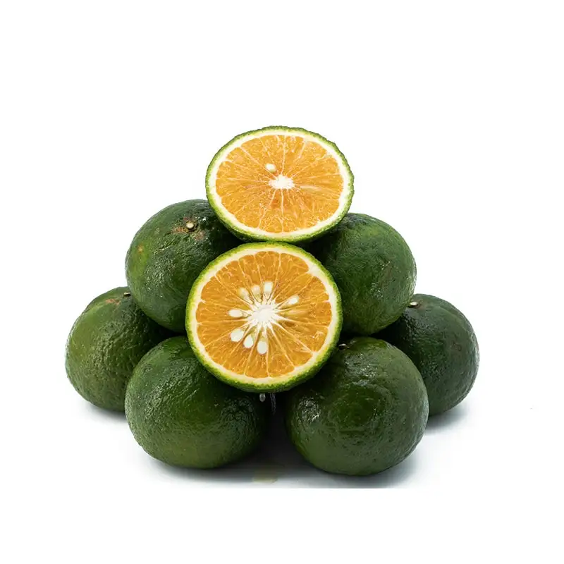 Top Grade Natural Fresh Fruit Fresh Orange Citrus Fruits From Vietnam
