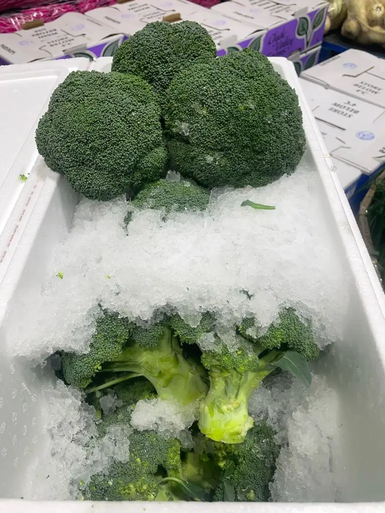Fresh Broccoli from Australia