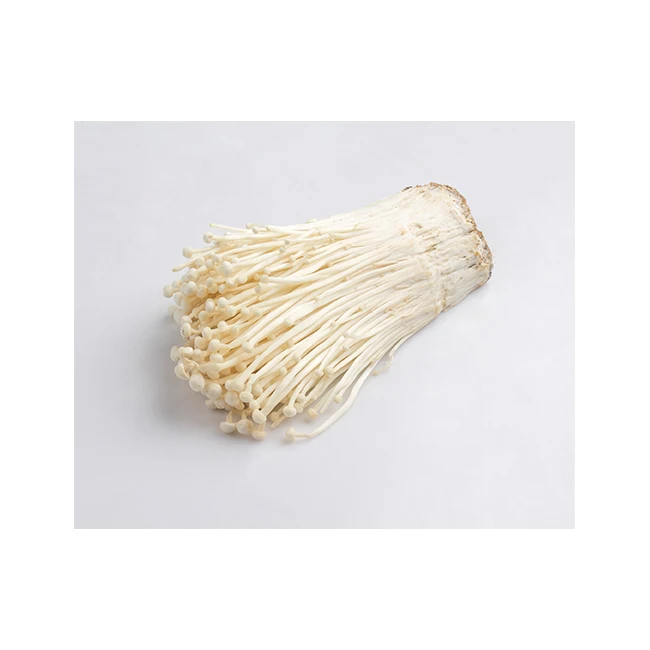 
Enoki Mushroom Packaging Organic Fresh and Delicious High Quaity for Export 