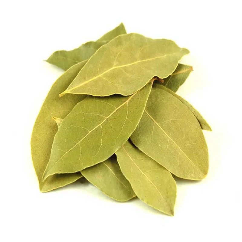 
Bay Leaves /Bay Leaves, Bay Leaves Powder cheap price 
