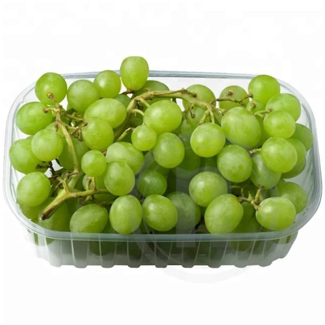 Без саженцев свежий виноград в наличии высокое качество и 100% экспорт свежих фруктов красный без