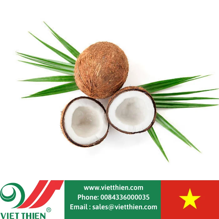 
Dried coconut copra low moisture content, high oil content, suitable for processing and producing coconut oil 