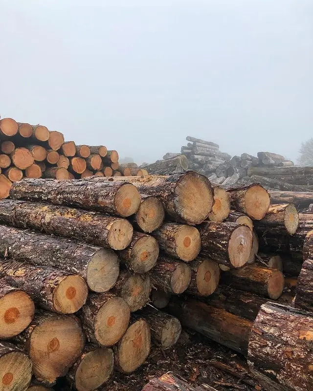 Sawn Timber Wood