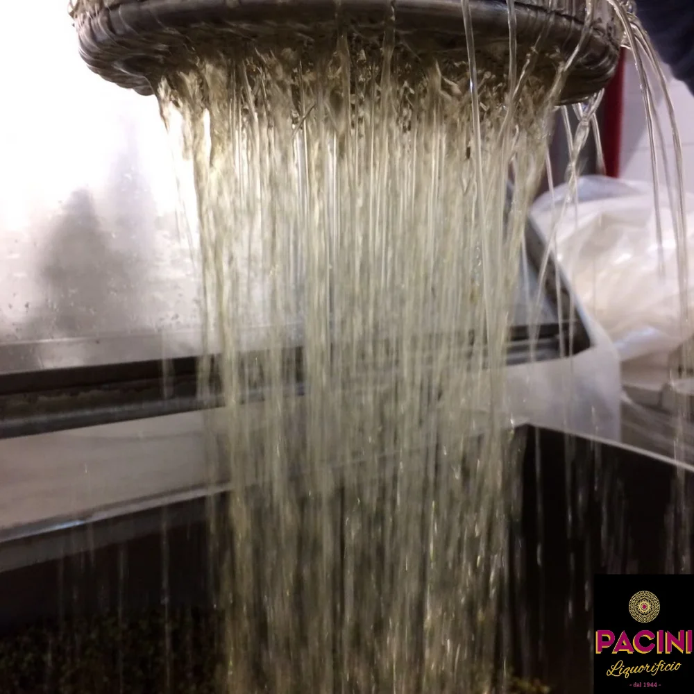 Лучшее итальянское качество ликер PACINI 50 cl белый Миртл с сардинской инфузией растение листьями и миртлом для