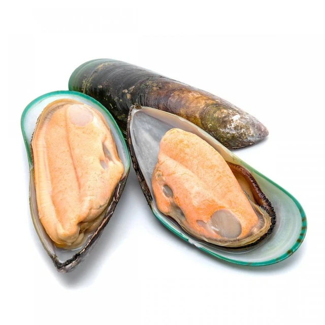 
Best Export Quality Frozen Short Necked Clam 