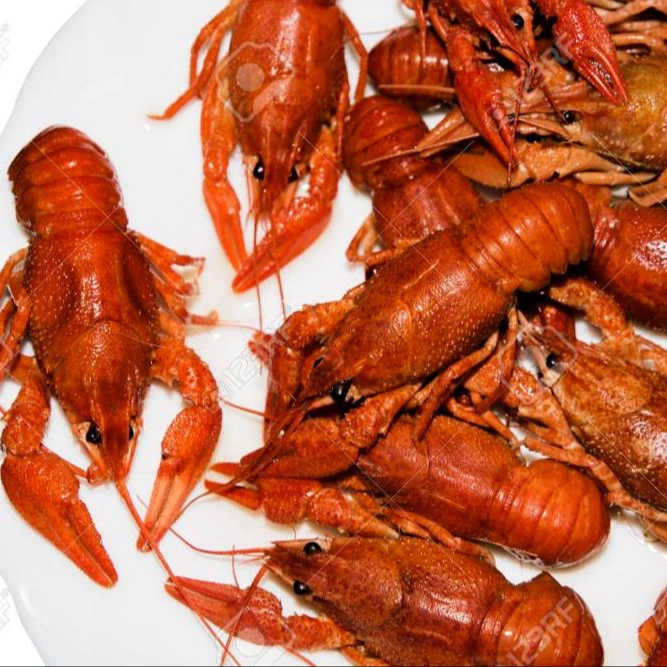 
Frozen Crayfish Cooked Whole round / frozen cooked/raw canadian lobster 