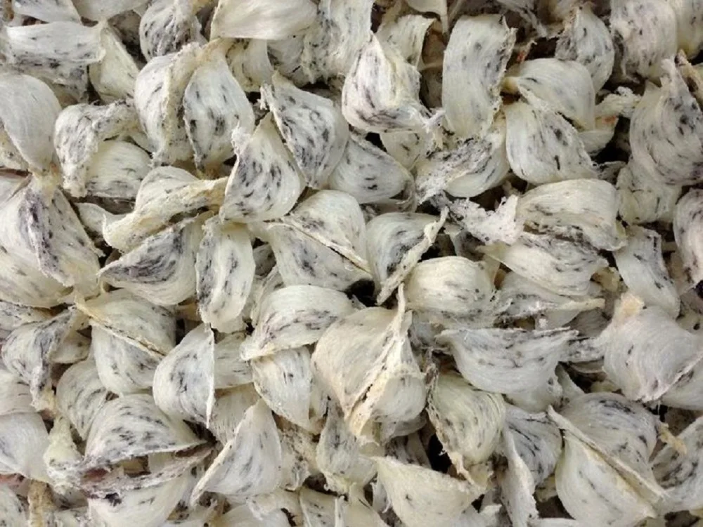 Необработанное Птичье гнездо в тюках 10 кг лучшее качество медицинский поставщик из Вьетнама Антивозрастная хорошая цена