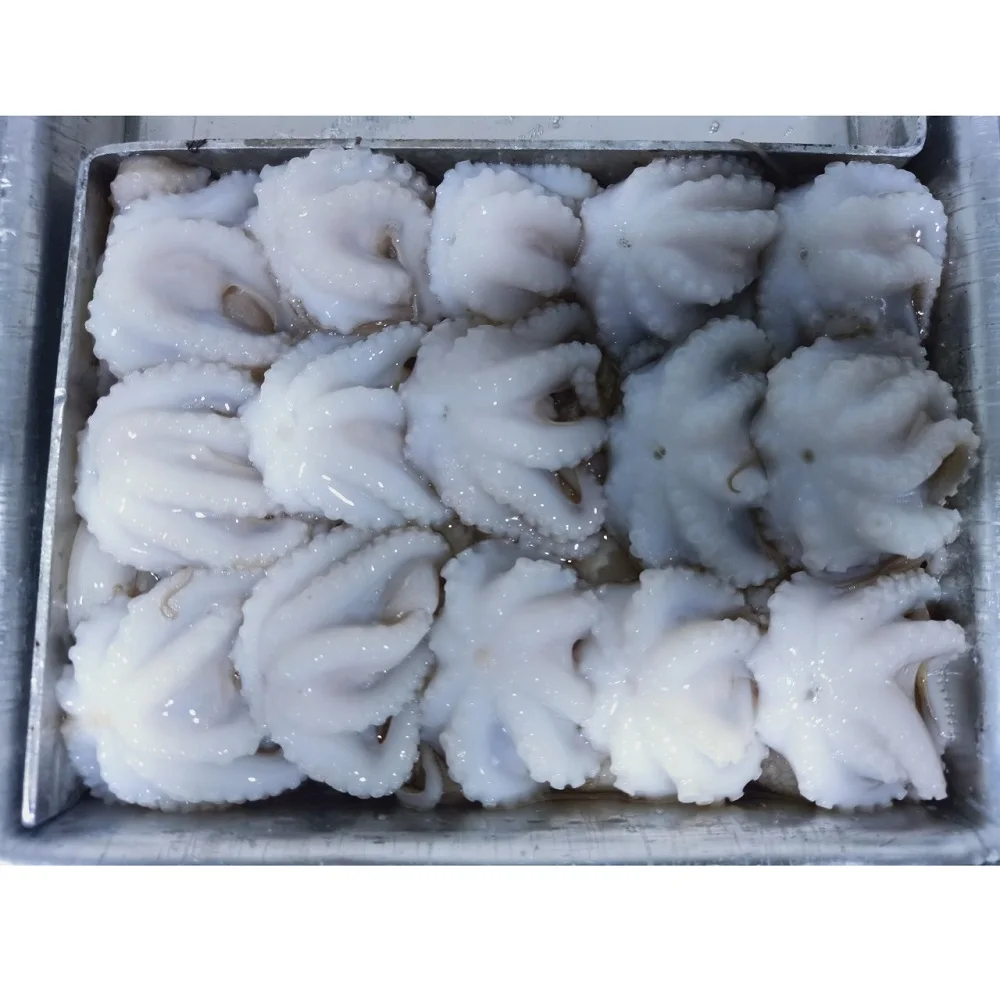 Exporting Bulk Reasonable Price Frozen Whole Baby Octopus From Vietnam Seafood
