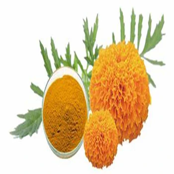 Factory bulk prices Top Quality Natural Marigold Extract Powder Lutein and Zeaxanthin