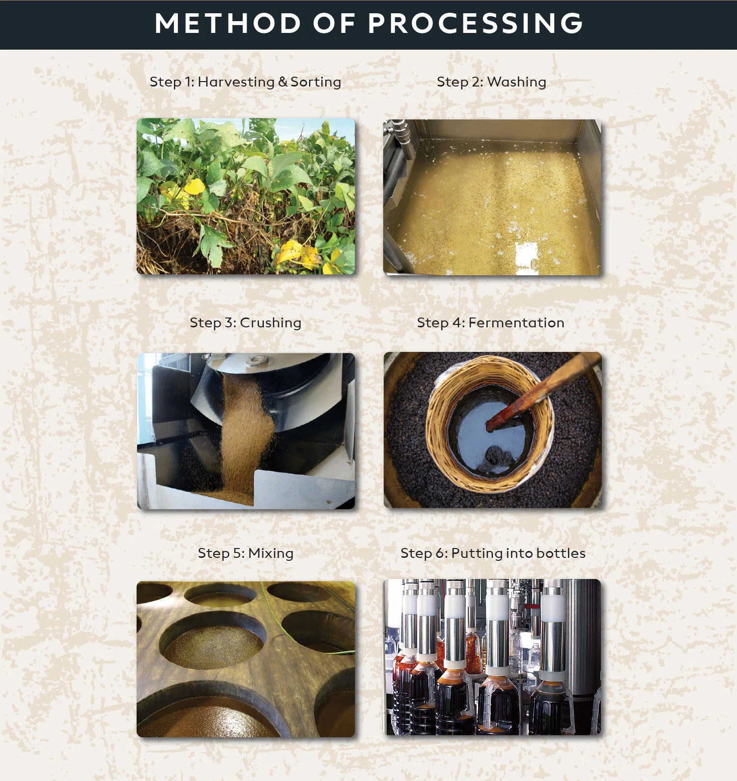 2.-Method-Of-Processing.jpg