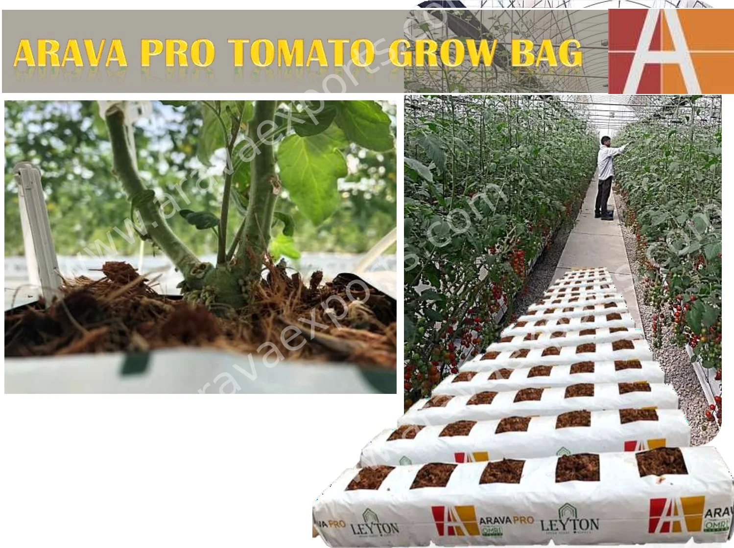 Coco Peat and Husk Chips Grow bags - Turkish Market