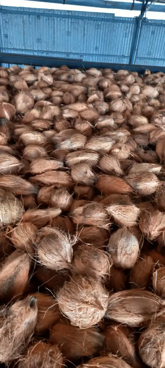 Top Selling Economic Price Natural Semi Husked Dried Coconut