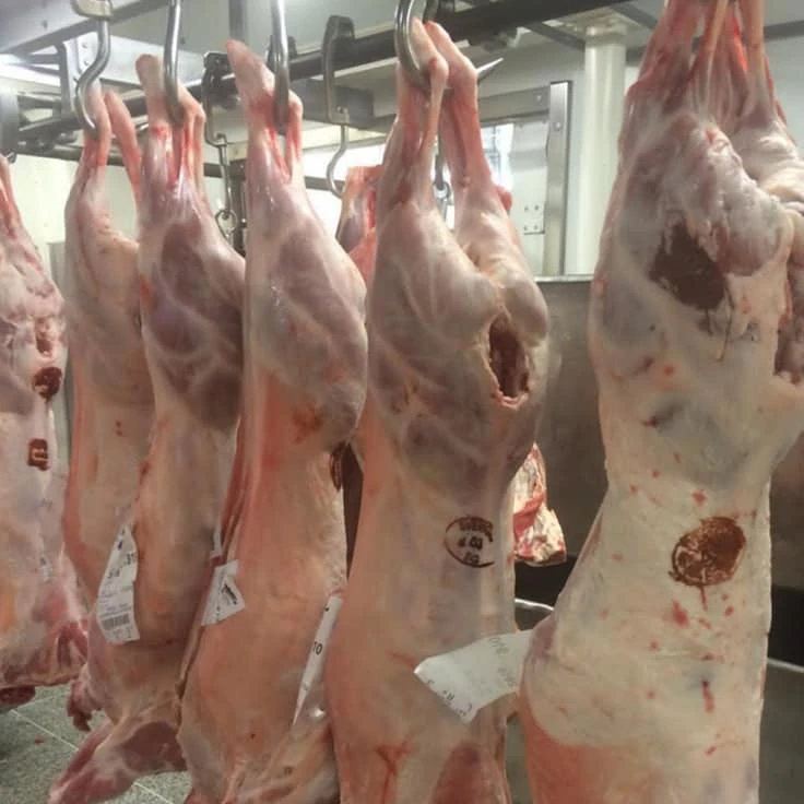 Frozen Lamb Meat