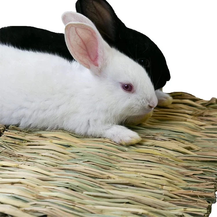Rabbit Grass Mat Natural hay Bed and Straw Ball Toy for Rabbi tChinchilla Hamster Chewing Toy Grass