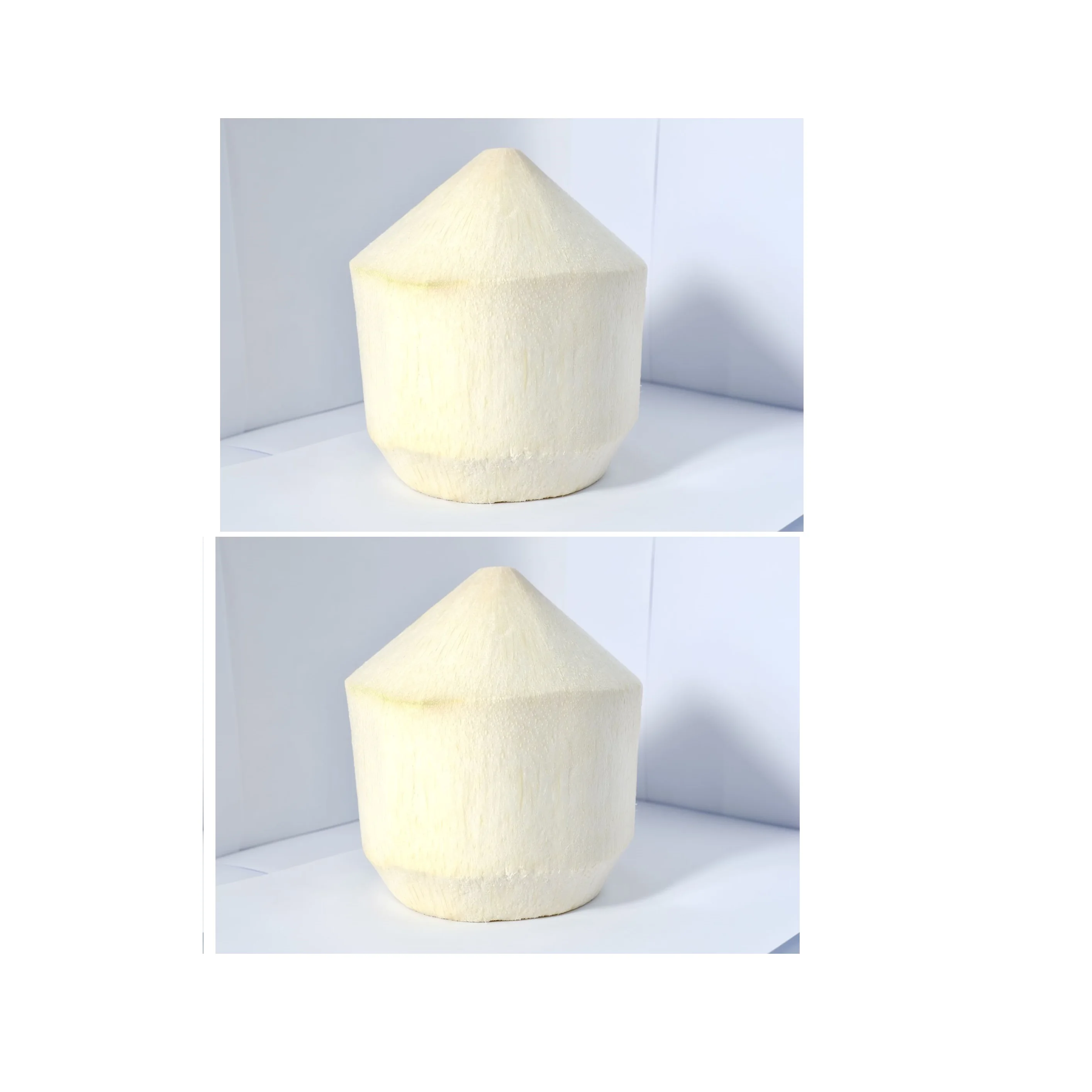 
Thailand High Quality Natural Fresh Young Coconut For Sale From Thailand With GAP Certification 