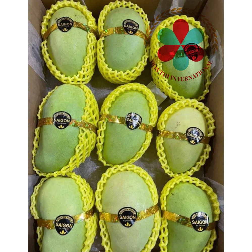 High Quality Globally Selling Fresh Mango from VietNam with  competitive price export for European and Japan  Free sample