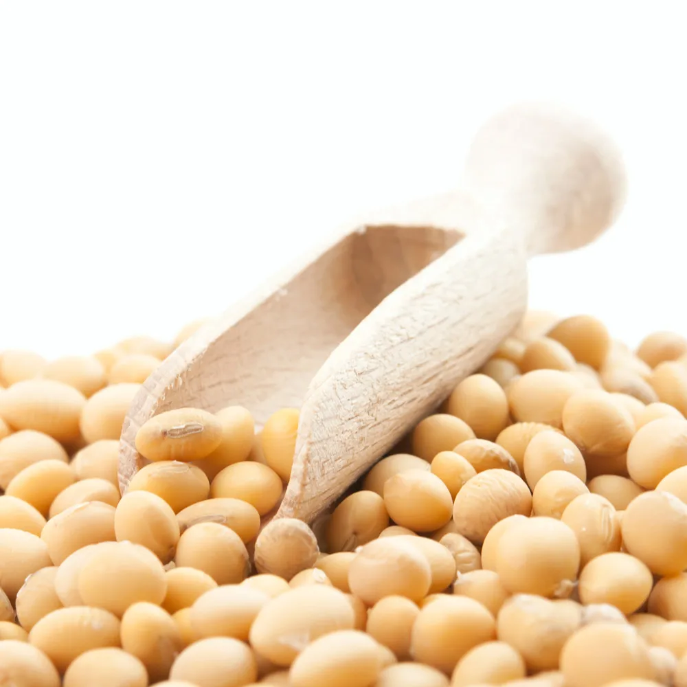 
Buy Soya Beans Wholesale Non GMO Soybean Price 