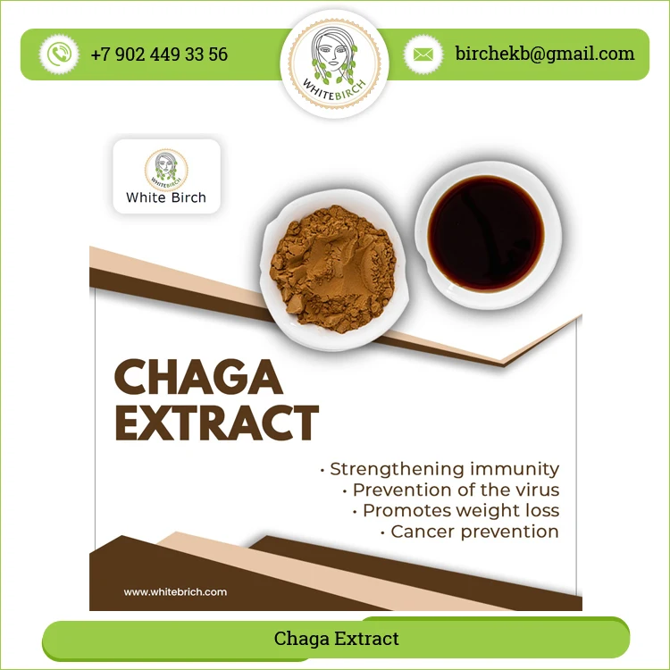 Multiple Health Benefits Natural Chaga Mushrooms Extract Powder for Sale