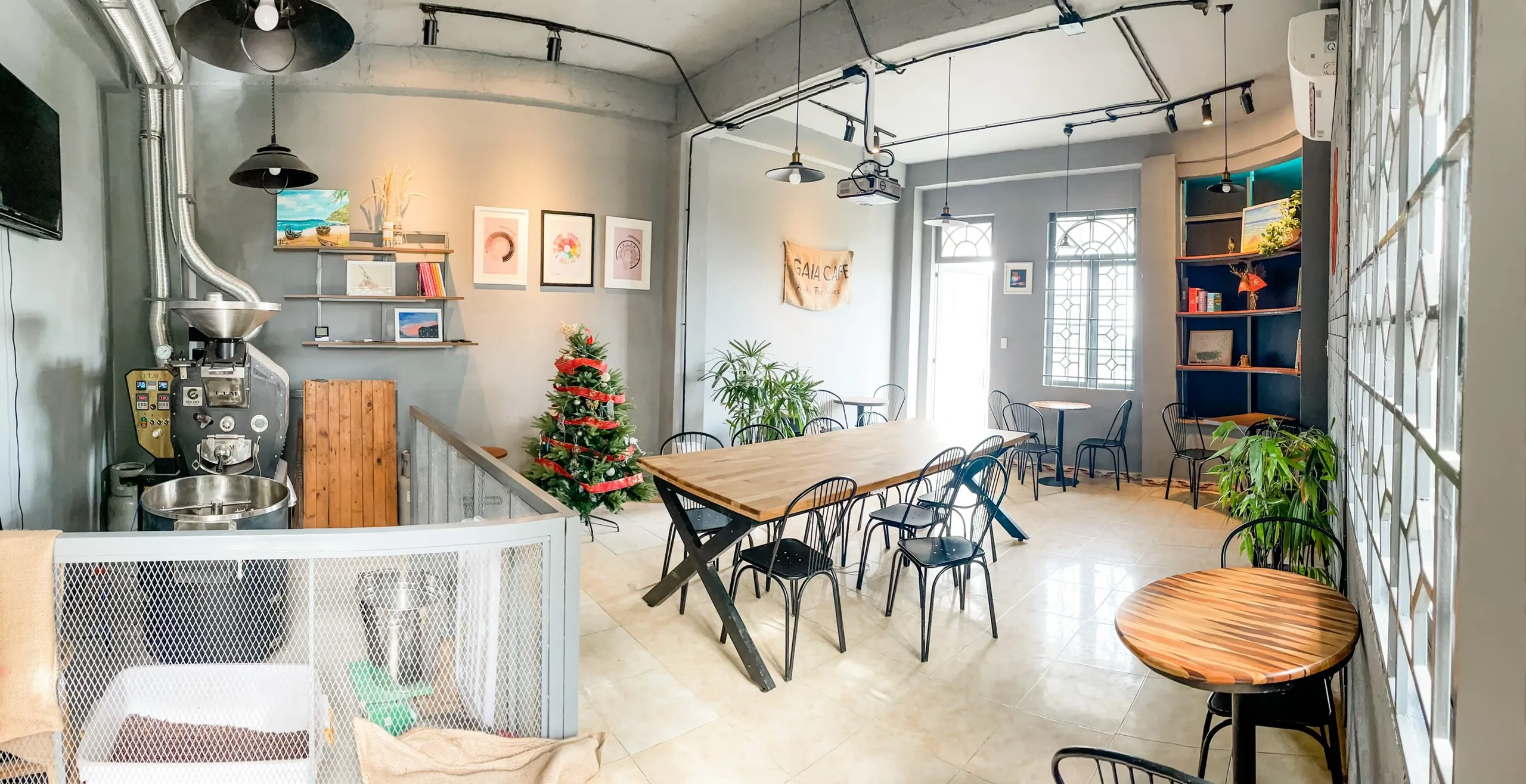 Roasted Robusta Arabica Coffee Beans Blend / French Roast / Process Honey and Semi-Wash Vietnam Single Origin