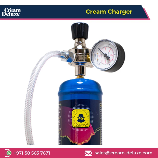 Highly Certified Quality Fully Recyclable 100% Pure Smart Whipped Cream Chargers 615g at Best Market Price