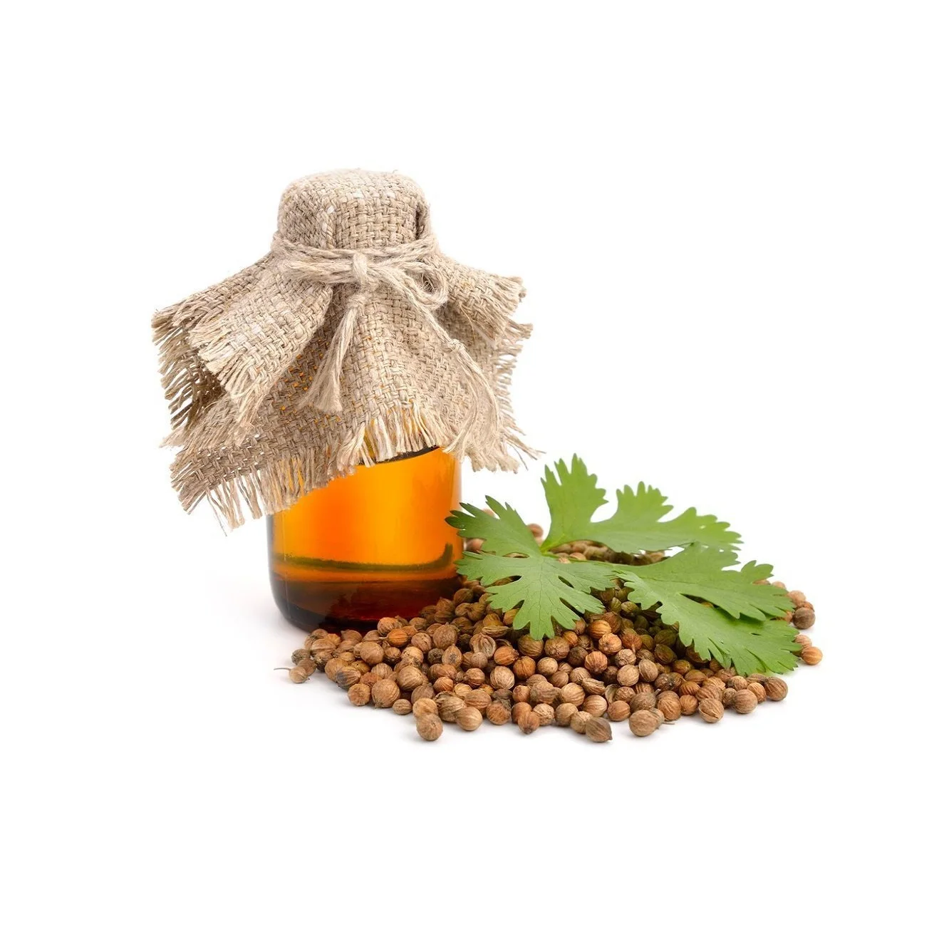 Aromatic 100% Pure Coriander Seed Oil Wholesale Price Body Care Bulk Coriander Oil Manufacturer In India