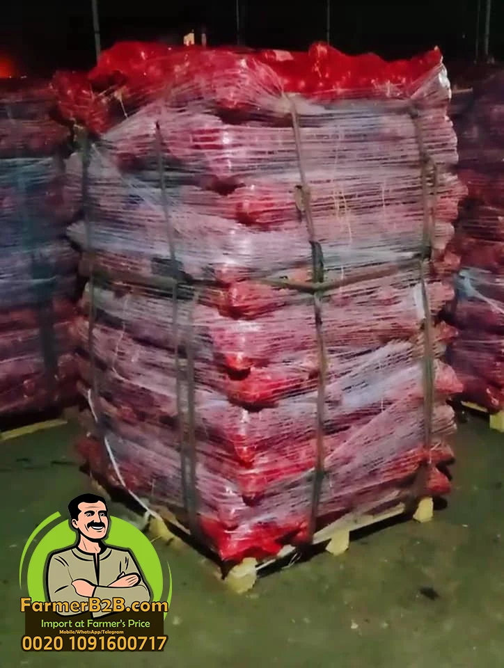 2021 NEW crop 100 mm Fresh Red Onion SUPER Quality VERY COMPETITIVE Prices