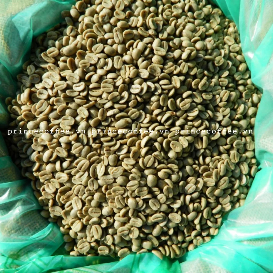  Лучшая цена вьетнамские кофейные зерна Arabica Robusta зеленые высококачественные необработанные