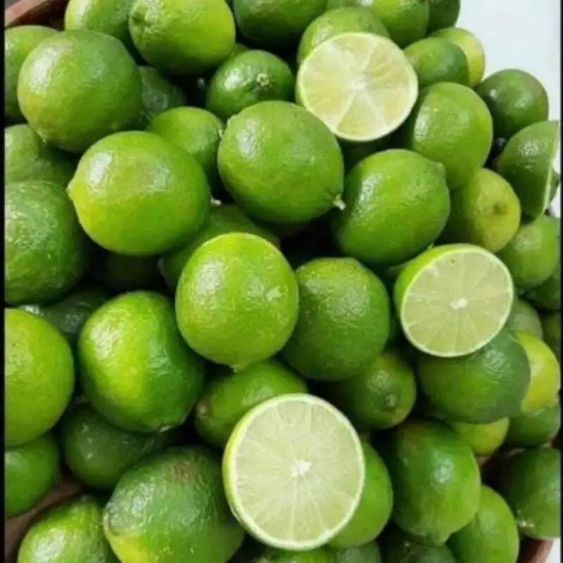 Lemon Seedless, Top Quality Product From Vietnam 2022, lulu lemon  lemon squeezer stainless steel