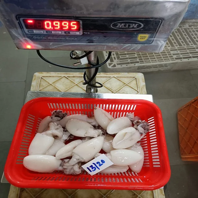 Высококачественная замороженная рыба, полностью очищенная из Индии