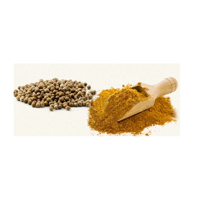 Natural Organic Jeera Powder Masala Cumin Powder Manufacturers Wholesale High Quality Seasoning 100% Natural Spicy