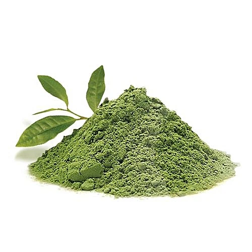 Indian moringa leaf powder making from machine quality for USA UK Germany Spain France Italy packing 5kg 10kg 25kg bag