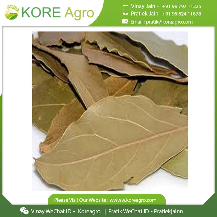 Most Selling Bay Leaf 100% Natural Dried Food Flavoring Spice And Cooking Herb & Mix Masala Supplier From India