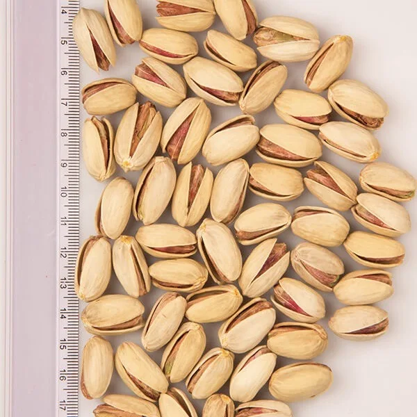 2020 natural pistachio high quality pistachio nuts