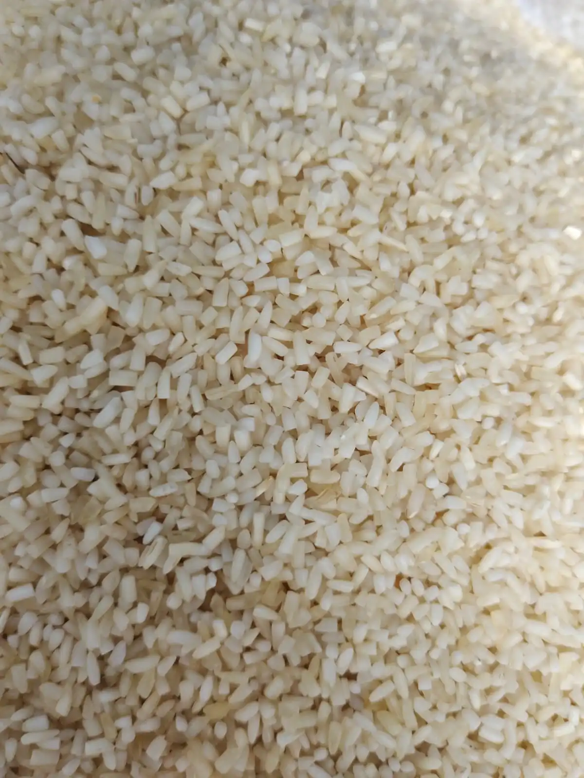Wholesale Price Soft Texture White Basmati Rice Long Grain Basmati Rice from Top Listed Supplier