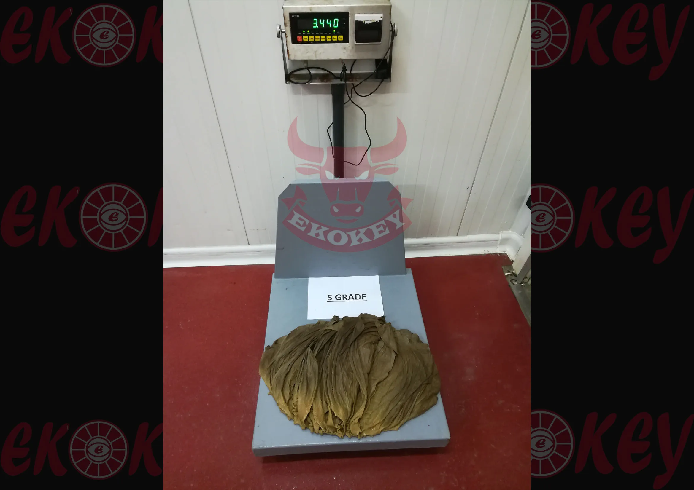 SALTED BEEF OMASUM HIGH QUALITY SALTED BEEF OMASUM A GRADE AA GRADE S GRADE NO BURN PRODUCT ORIGIN MONTENEGRO OMASUM 2022