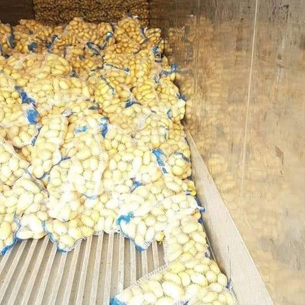 Top Quality and Low Price fresh Mozika Potatoes for french fries