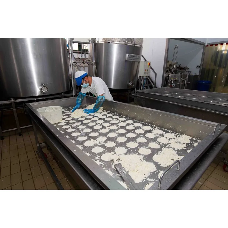 High Quality Italian CACIOTTINA cheese 0.4kg for export
