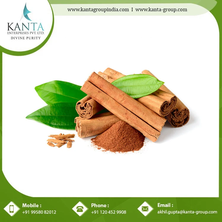 Best Remedy for Reduce Stress Cinnamon essential Oil from Indian Supplier