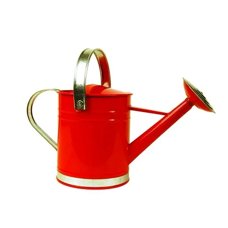 Printed Design Galvanized Black Color Water Can For Garden Use Indoor And Outdoor Plants Watering Can In Bulk