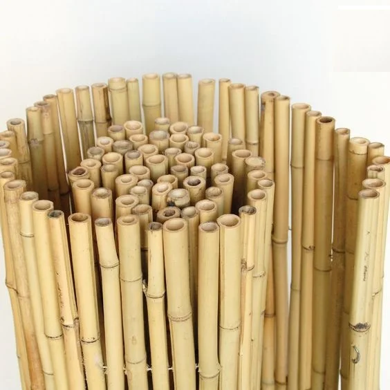 Vietnam Dried Bamboo Sticks for Fencing High Quality for Garden Home Decoration Ready To Export